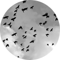 user_avatar-Adibah Halim